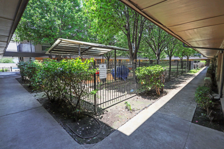 Courtyard 02